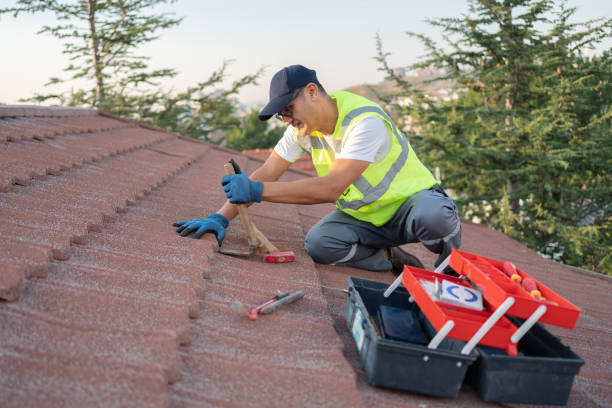 Best Roof Installation Near Me  in Powell, WY