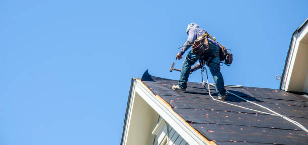 Best Roof Maintenance Services  in Powell, WY